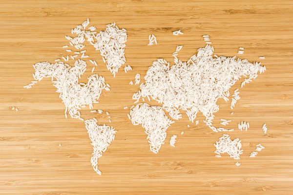 Global Nutrition