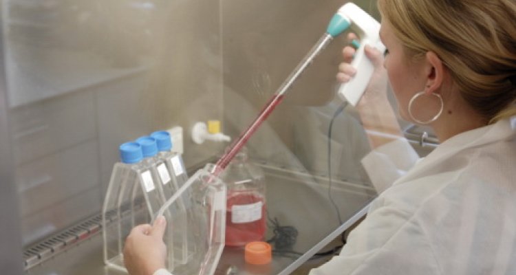 Vacatures Wageningen Bioveterinary Research